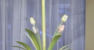 lampa-piedestal inedita ,flori metal 175 cm
