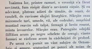 E864-I-Carte veche Romania-C. Petrescu-Carmen Saeculare.