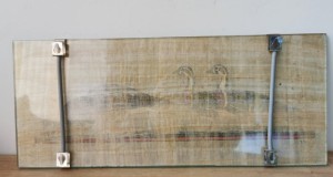 Tablou papirus cu interesante specii de rate, Egipt