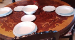 Serviciu masa Iran cu model