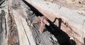 grinzi vechi de stejar din demolare